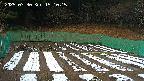 kannonmori-20250330151017.jpg