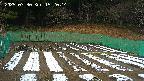 kannonmori-20250330152016.jpg