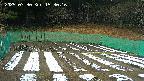 kannonmori-20250330153018.jpg