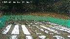 kannonmori-20250330154016.jpg