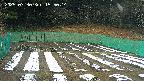 kannonmori-20250330155016.jpg