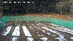 kannonmori-20250330160018.jpg