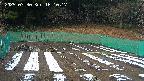 kannonmori-20250330161019.jpg
