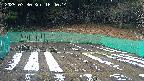 kannonmori-20250330164016.jpg