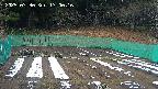 kannonmori-20250330170018.jpg