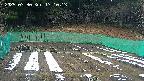 kannonmori-20250330171015.jpg