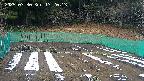 kannonmori-20250330172015.jpg