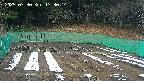 kannonmori-20250330173016.jpg