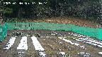 kannonmori-20250330174016.jpg