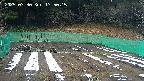 kannonmori-20250330175017.jpg