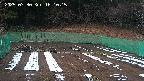 kannonmori-20250330181017.jpg
