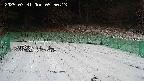 kannonmori-20250331055015.jpg
