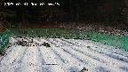 kannonmori-20250331075017.jpg