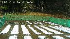 kannonmori-20250331094018.jpg