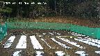 kannonmori-20250331095017.jpg