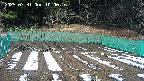 kannonmori-20250331100017.jpg