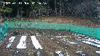 kannonmori-20250331101018.jpg