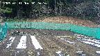 kannonmori-20250331102017.jpg