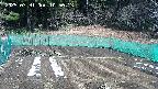 kannonmori-20250331105015.jpg