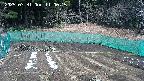 kannonmori-20250331110016.jpg