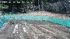 kannonmori-20250331111018.jpg