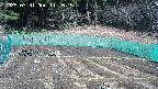 kannonmori-20250331112017.jpg