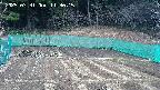 kannonmori-20250331113017.jpg