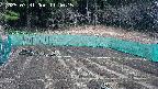 kannonmori-20250331114017.jpg