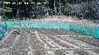 kannonmori-20250331115015.jpg