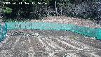 kannonmori-20250331120018.jpg