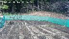 kannonmori-20250331121017.jpg