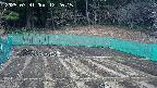 kannonmori-20250331122017.jpg