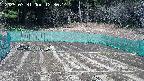 kannonmori-20250331123016.jpg