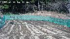 kannonmori-20250331125016.jpg