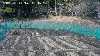 kannonmori-20250331130017.jpg