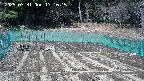 kannonmori-20250331131017.jpg