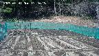 kannonmori-20250331132017.jpg