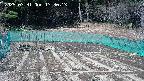 kannonmori-20250331133015.jpg