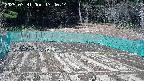 kannonmori-20250331134016.jpg