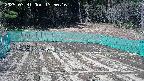 kannonmori-20250331135017.jpg