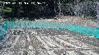 kannonmori-20250331140015.jpg