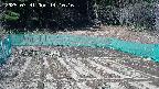 kannonmori-20250331141017.jpg