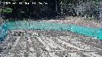 kannonmori-20250331142018.jpg
