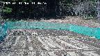 kannonmori-20250331143017.jpg