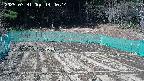 kannonmori-20250331144015.jpg