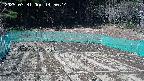 kannonmori-20250331145015.jpg