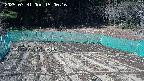kannonmori-20250331150017.jpg