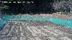 kannonmori-20250331151016.jpg