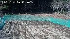 kannonmori-20250331152017.jpg
