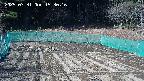kannonmori-20250331153017.jpg